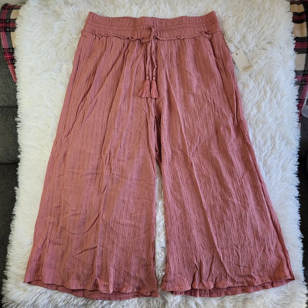 Ava James Womens Pant Size 2X Plus Pink Crinkle Stretchy Pull On Pant NWT